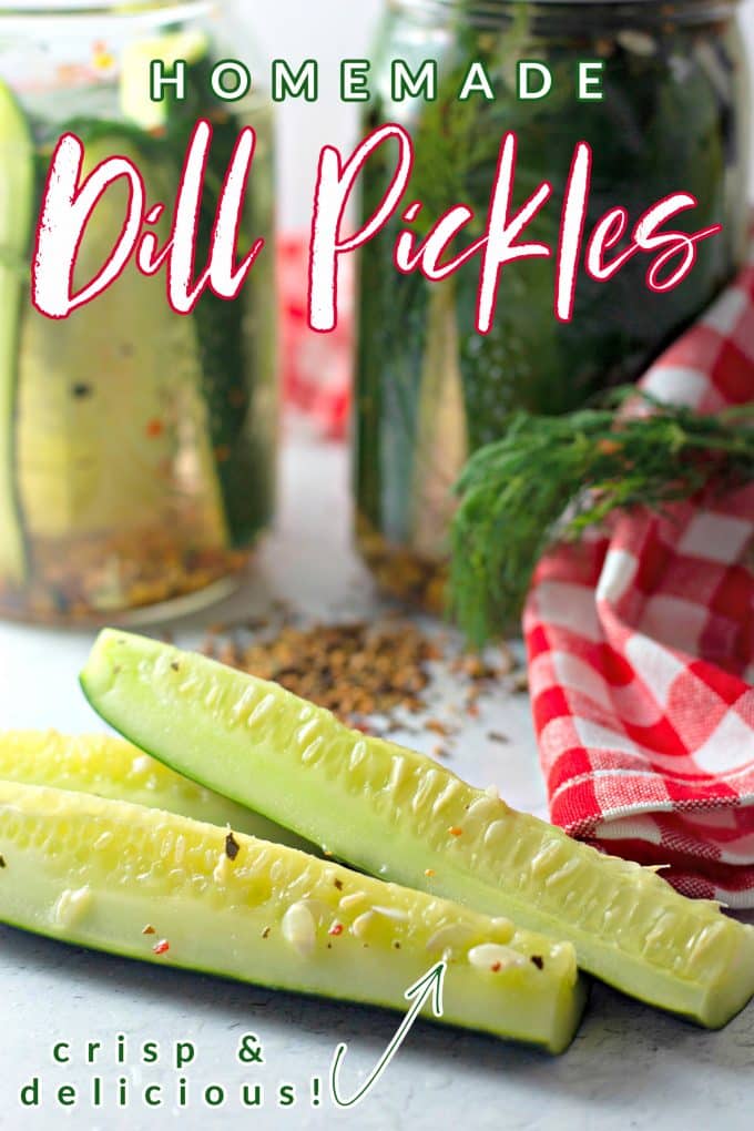 REFRIGERATOR DILL PICKLES keto recipe posts